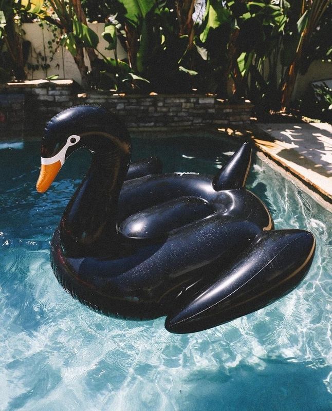 Unicorno Flamingo Pallafitte Pallafitte Lago Pallafitte Pallafitte Swan Per Adulti