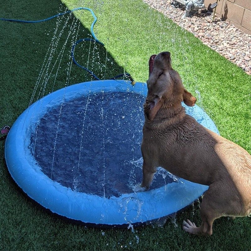 LC Water Splash Sprinkler Pad per cani Sprinkler doccia per animali da compagnia PVC giocattoli per animali da compagnia Pad per cani
